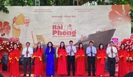 Trưng bày chuyên đề 