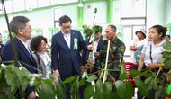 Quảng Nam, Kon Tum cùng họp bàn tổ chức Lễ hội quốc tế sâm Việt Nam năm 2025