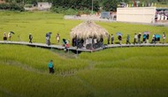 Gắn du lịch cộng đồng với xây dựng nông thôn mới