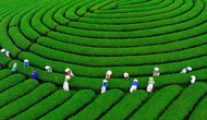 Sơn La: Lan tỏa bản sắc văn hóa Tây Bắc