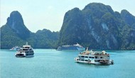 Gìn giữ di sản Vịnh Hạ Long