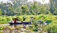 Du lịch Đồng bằng sông Cửu Long: Tạo điểm nhấn từ văn hóa, cảnh quan