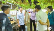 Ngành du lịch Ninh Thuận đón hơn 2,29 triệu lượt khách