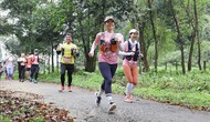 Ninh Bình: Quảng bá du lịch di sản qua các sự kiện thể thao
