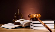 Ban hành Kế hoạch xây dựng Nghị định quy định chi tiết một số điều và hướng dẫn thi hành Luật Quảng cáo