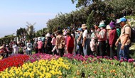5 tháng đầu năm 2025: Tây Ninh thu hút 3,2 triệu lượt khách du lịch