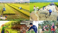 Thành lập Ban Chỉ đạo Trung ương các chương trình mục tiêu quốc gia giai đoạn 2021 - 2025
