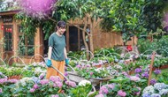 Yên Bái sẵn sàng mùa du lịch sôi động