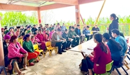 Quảng Ninh: 126 mô hình phòng, chống bạo lực gia đình đạt chuẩn