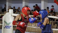 Bế mạc Giải Võ thuật cổ truyền các Võ đường Bình Định lần thứ VII