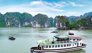 Tạm dừng cấp phép tàu chở khách ra vịnh Hạ Long từ 20 -7