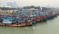 Đà Nẵng: Chủ động triển khai các biện pháp ứng phó với bão số 3
