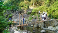 Quảng Trị: Khai thác hiệu quả tiềm năng phát triển du lịch góp phần cải thiện sinh kế, nâng cao đời sống người dân
