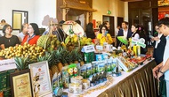 Cần Thơ: Liên kết thúc đẩy phát triển du lịch địa phương