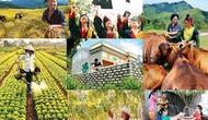 Phấn đấu giải ngân 100% vốn đầu tư công cho các chương trình mục tiêu quốc gia năm 2025