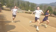 Ươm mầm tài năng từ thể thao học đường
