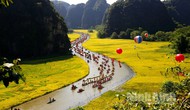 Tháng 7/2025, toàn tỉnh Ninh Bình ước đón hơn 650.000 lượt khách