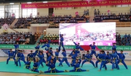 Đồng Tháp: Triển khai kịp thời và hiệu quả các hoạt động thuộc chương trình Đề án 223  