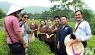 Thái Nguyên: Kết nối để bay xa