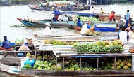 Du lịch xanh ở Đồng bằng sông Cửu Long : Nắm bắt cơ hội, hóa giải thách thức