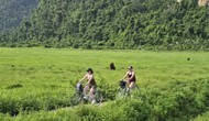 Hải Phòng: Ngôi làng giữa biển khơi được công nhận điểm du lịch cộng đồng 