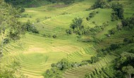 Lào Cai: Nhiều điểm 'chạm' hấp dẫn du khách đến Sa Pa dịp Quốc khánh