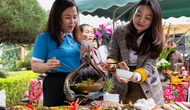 Quảng Bình: Ẩm thực là điểm nhấn níu chân du khách