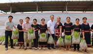 Phiên chợ 