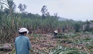 Nâng cao nhận thức cho đồng bào dân tộc thiểu số và cộng đồng xã hội về giảm nghèo bền vững