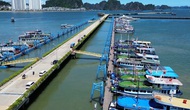 Quảng Ninh phấn đấu trở thành trung tâm du lịch kết nối khu vực và quốc tế