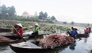 Khai thác lợi thế đa dạng, Tây Ninh tăng tốc phát triển du lịch