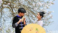 Định hình hình ảnh Việt Nam trên trường quốc tế