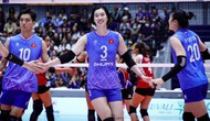 Chờ bóng chuyền nữ Việt Nam soán ngôi Thái Lan ở SEA V.League