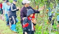 Định hình thương hiệu du lịch xanh
