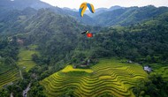 Bay dù lượn ngắm ruộng bậc thang mùa lúa chín tại Thông Nguyên, Tuyên Quang 