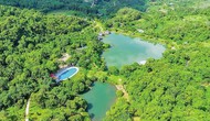Hút khách bằng du lịch xanh