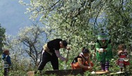 Sơn La khẳng định vị thế điểm đến an toàn, hấp dẫn