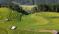 Giải Marathon Mù Cang Chải Ultra trail năm 2025: Cơ hội quảng bá du lịch Mù Cang Chải (Lào Cai)
