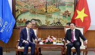Bộ trưởng Nguyễn Văn Hùng tiếp Tổng Giám đốc Tổ chức Sở hữu trí tuệ Thế giới Daren Tang