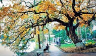 Hà Nội lọt top 7 điểm đến mùa thu đẹp nhất châu Á