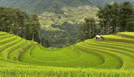 

Liên kết để du lịch Tây Bắc vươn xa