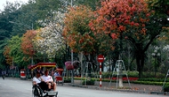 Tăng cường phối hợp, đạt mục tiêu tăng trưởng khách du lịch năm 2025