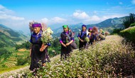 Lào Cai phát huy di sản văn hóa, kiến tạo hệ sinh thái du lịch phát triển bền vững