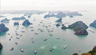 Quảng Ninh: Tặng 1.000 vé du thuyền tham quan vịnh Hạ Long tri ân người giữ nước