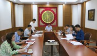 Tập trung hoàn thiện Đề án tổ chức Liên hoan Phim Việt Nam lần thứ XXIV