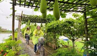 Vĩnh Long: tăng tốc phát triển du lịch dựa vào tiềm năng, thế mạnh