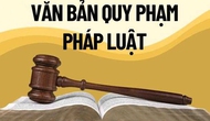 Lâm Đồng tăng cường theo dõi thi hành văn bản quy phạm pháp luật trong lĩnh vực VHTTDL năm 2026