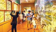 Tiềm năng du lịch từ các bảo tàng thiên nhiên