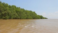 Cần Thơ: Đánh thức tiềm năng 'viên ngọc xanh' nơi hạ lưu sông Hậu