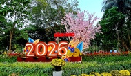 TP.HCM: Chuẩn bị các hoạt động lễ hội đón Tết Nguyên đán Bính Ngọ năm 2026